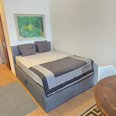 Studio Apartment * 슈투트가르트